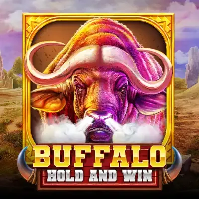 Buffalo Hold and Win game cover